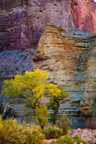 Grand Canyon & Utah 2014 by Paul Hoelen Photography_20A9473 1