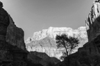 Grand Canyon & Utah 2014 by Paul Hoelen Photography_20A9557-2