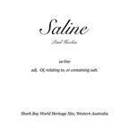 Saline Asukabook by Paul Hoelen Photography000001