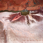 Altered LandsTailings