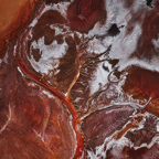 Altered LandsALTERED LANDS SCOTT TREE OF LIFE