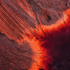 Altered LandsALTERED LANDS Altered Lands12041251_1058720267481971_1524403607_o