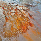 Kati Thanda-Lake Eyre by The Light Collectivefeathered_mantle_3000px