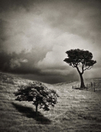 TPPY Awards 2011 Paul Hoelen--2