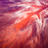 TPPY AWARDS 2015 by Paul Hoelen PhotographyIMGP3094-Edit