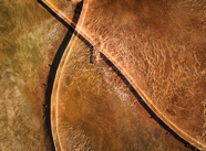 TPPY AWARDS 2015 by Paul Hoelen PhotographyLouisa St goodness v2-Edit