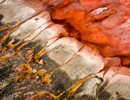 TPPY 2017 AwardsTAS2017-HoelenP-7