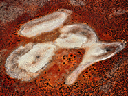 TPPY 2017 AwardsTAS2017-HoelenP-8