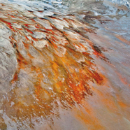 TPPY 2017 AwardsTAS2017-HoelenP-1